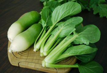 Popularna kultura warzyw pochodzi z Japonii – daikon. Uprawa i pielęgnacja