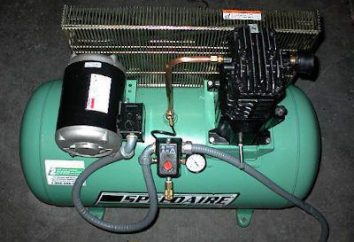 Compressor de gás: dispositivo e circuito tipos