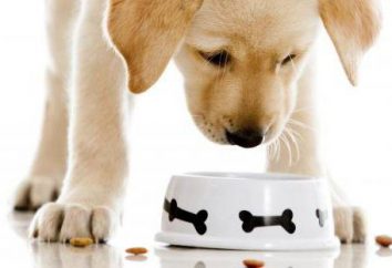 BIOMILL alimentar para cães: a composição, o uso de