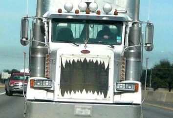 I migliori film su camion e camionisti: lista, voto, recensioni e opinioni