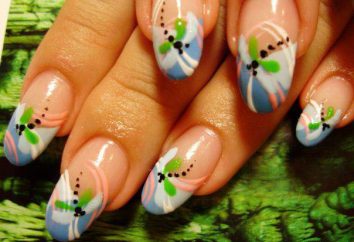 Brillante diseño de uñas las ideas: cómo dibujar una libélula