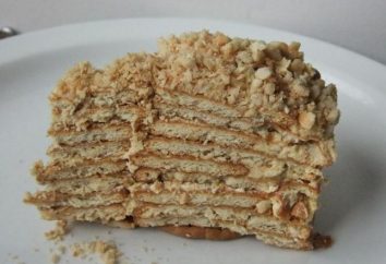 ciastka ciasto i ser bez pieczenia: przepis ze zdjęciem