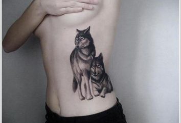 La liberté, la volonté et le dévouement – la valeur d'un tatouage de loup