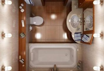 La vasca da bagno in ghisa nel Krusciov: le dimensioni e il design