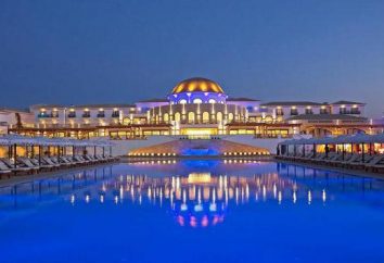 Mitsis Laguna Resort & Spa 5 * (Grecia, Creta): descrizione della struttura, servizi, recensioni