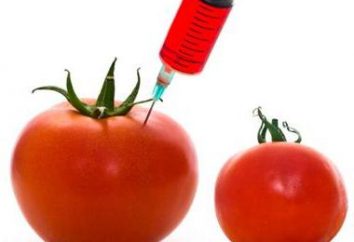 OGM: decodificação e perigo