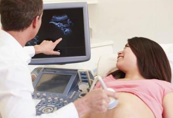 Quando si effettua una terza ecografia durante la gravidanza? Su quale termine fare 3 ecografia durante la gravidanza pianificata?
