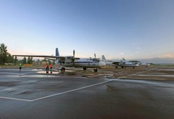 « Pskov » – est l'avenir de l'aéroport