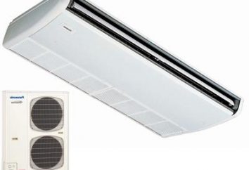 aparelhos de ar condicionado de teto – a solução perfeita para restaurantes e lojas. Faça a escolha certa!