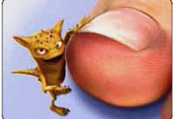 Comment traiter un champignon sur les jambes des ongles: Différentes façons