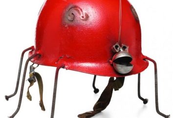 Marienkäfer von Helmen: eine schöne Gartenfiguren aus Abfallmaterialien erstellen
