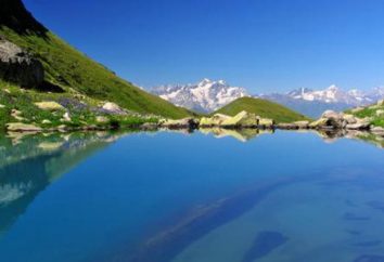 Die Schwarzmeerküste des Kaukasus – die Flora und Fauna