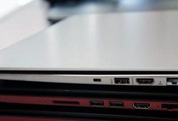 Los mejores portátiles pequeños. Una pequeña computadora portátil se llama?