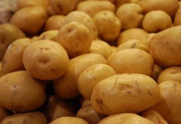 Kartoffeln Sankt: Beschreibung der Sorte