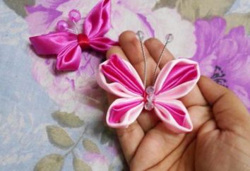 Schmetterling des Bänder mit ihren eigenen Händen: Schritt für Schritt Anweisungen, interessante Ideen und Empfehlungen