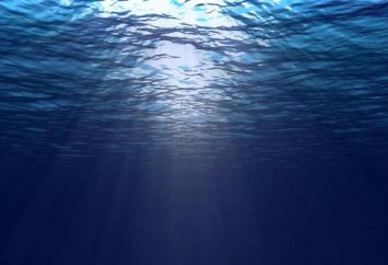 Die Meeresströmungen unterscheiden sich von den Wellen? Natur und die Möglichkeit, diese Phänomene