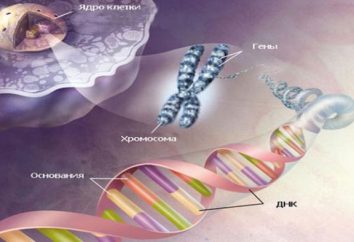 Come risolvere i problemi della genetica alla biologia?