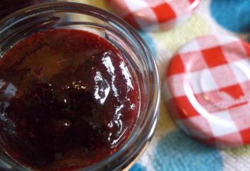 Wie die Marmelade Pflaume im Winter kochen? Rezepte und Tipps zum Kochen Pflaumenmus