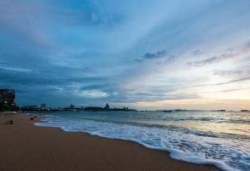 Orilla del mar de Pattaya Resort 3 * (Tailandia / Pattaya): Comentarios de los huéspedes