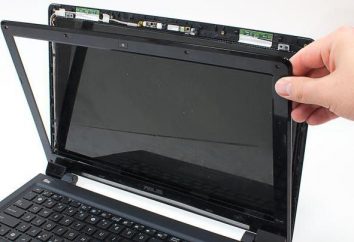Warum arbeitet nicht auf einem Laptop-Monitor: mögliche Ursachen und Methoden zur Fehlerbehebung