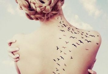 Qual é o significado de aves tatuagens?