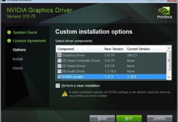 Come rimuovere il driver NVIDIA dal sistema del tutto