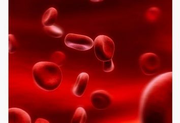 Quali alimenti fluidificare il sangue?