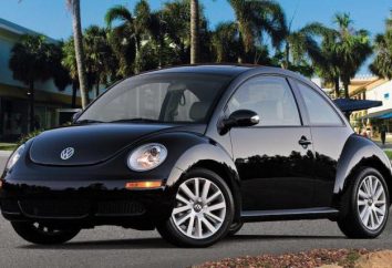 Volkswagen New Beetle: especificações, descrições e comentários