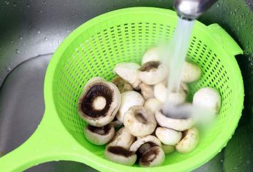 Como limpar rapidamente o cogumelo? Como limpar cogumelos Dicas