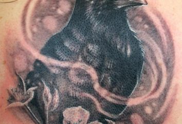 Il simbolismo del tatuaggio, "corvi"