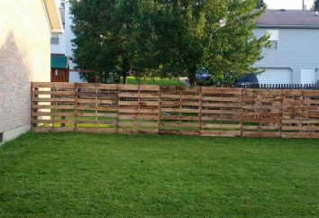 Comment faire une palette de clôture avec ses propres mains: caractéristiques, descriptions et