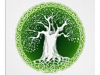 Celtica Oroscopo: druidi compatibilità oroscopo alberi