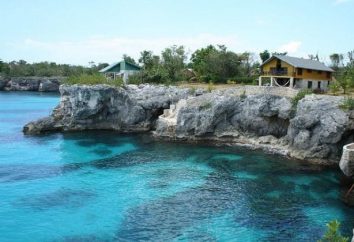 Des vacances fabuleuses en Jamaïque: avis, le climat, la nourriture, attractions