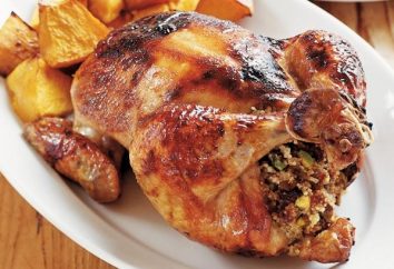 obiad gotowania: przepis kurczak, korniszony
