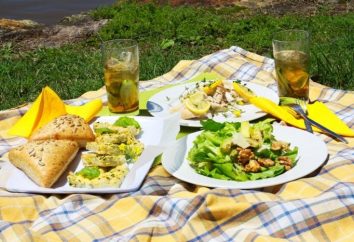 Naczynia dla pikniku: Porady i przepisy