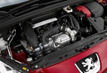 EP6 Motor: características e descrição, problemas, comentários