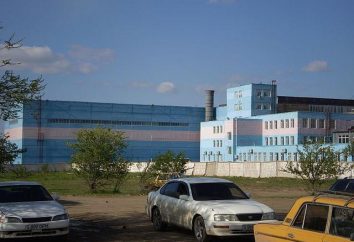 Pavlodar fabbrica di trattori: la triste storia del gigante di produzione