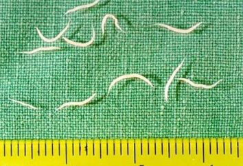 Pinwürmer bei Kindern: Symptome. Tabletten von Pinwürmern für Kinder. Ein Kind von Pinworm – was zu tun?