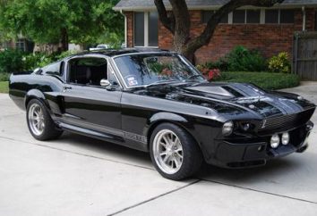 Ford Mustang – presa "charme" da América