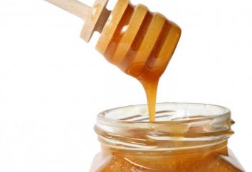 Est-il possible de mère nourricière de miel? Nous apprenons!