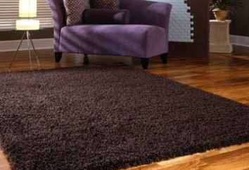 Teppiche mit Hochflorerzeugnisse: Komfort und Wärme in Ihrem Zuhause