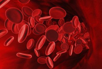 RBC: analyse de sang, le décodage, le taux et la valeur. Le taux normal de globules rouges (RBC) dans le sang