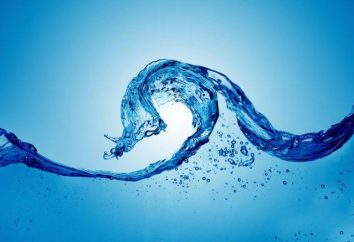 Salute e l'approvvigionamento idrico. La qualità dell'acqua potabile