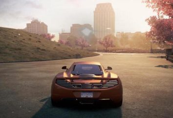 Need for Speed Most Wanted: Systemanforderungen und eine Übersicht über