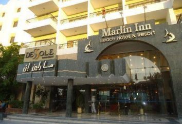 Dessole Marlin Inn Beach Resort 4 * (Egitto / Hurghada): Hotel