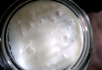 Der Joghurt ist von saurer Milch: Kalorien, nützliche Eigenschaften und Merkmale