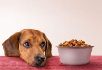 Valoración de comida para perros. Clasificación de los alimentos secos para perros