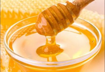 ¿Es posible extender la vida útil de la miel?