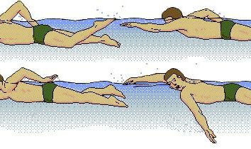 Crawl-Schwimmtechnik: bietet Übungen und Fehler