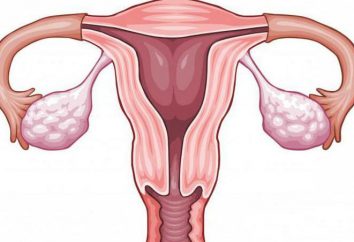Spasmi in utero: i possibili motivi, la descrizione ed in particolare il trattamento di